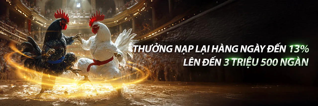 Đấu trường gà Savan trực tiếp với khán giả cuồng nhiệt